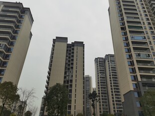 城市高楼建筑群景观