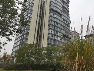 高层住宅旁的绿植景观