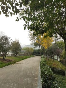 秋日林间幽静的漫步小道