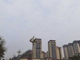 城市高楼与远处塔吊景观