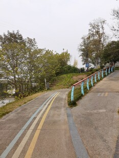 湖边蜿蜒的步道与护栏