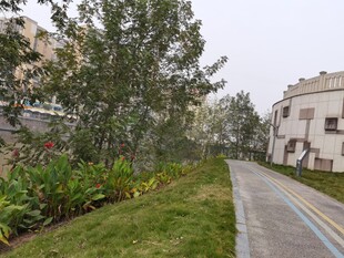 小区内的绿化小径景观