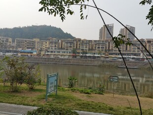 江边城市风景远眺