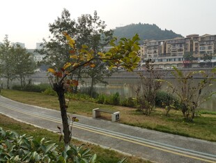 城郊风景秋日静谧道路