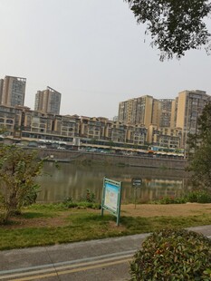 河畔城市景观风光