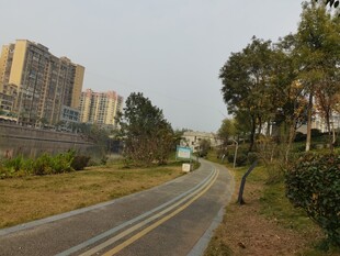 城郊宁静小路旁的建筑景观