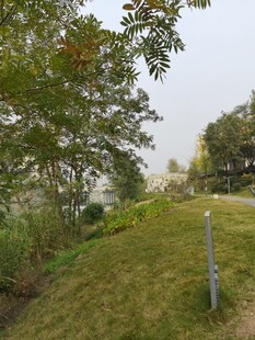 绿意盎然的户外草地景观