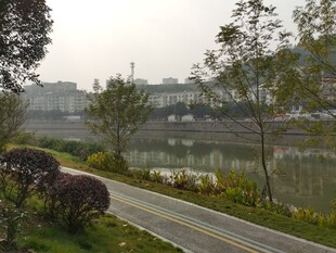 城郊河畔的宁静小路