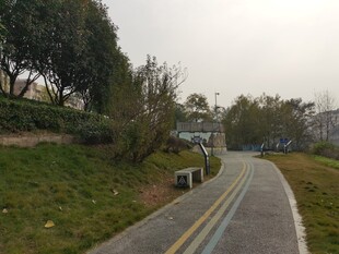 郊外蜿蜒的柏油小路