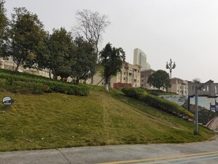 城郊道路旁的绿植与建筑