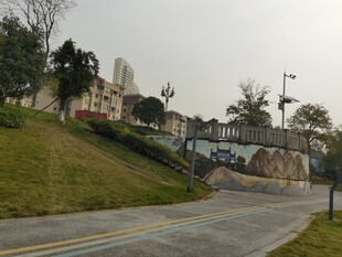 城市道路旁的绿化带景观