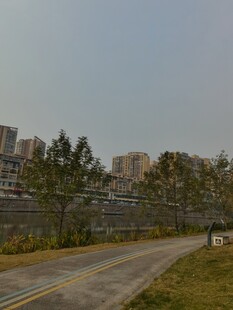 城郊道路旁的绿植与建筑