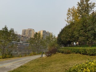 城市中的静谧绿化小径