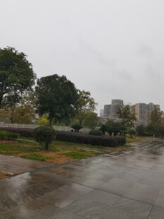 雨中公园场景
