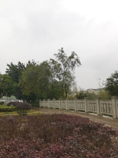 户外园林景观绿植场景