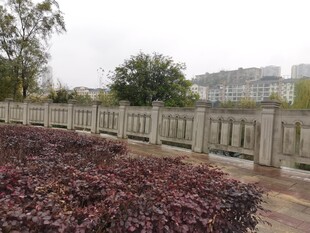 园林景观中的护栏与植被