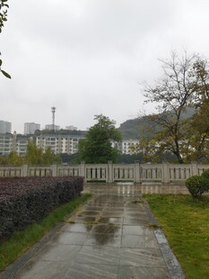 雨后湿径旁的城市远景