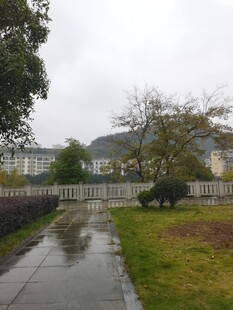 雨后湿润的户外景致