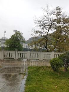 雨中庭院景致