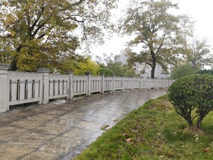 雨后庭院小径景观