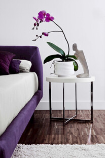 紫色床边的雅致兰花摆件