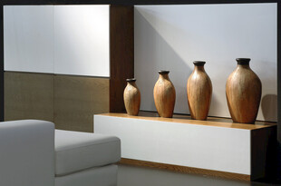 现代客厅中的精美花瓶摆件