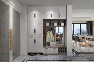 现代简约风格入户鞋柜设计