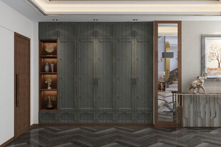 现代简约风格的室内玄关设计