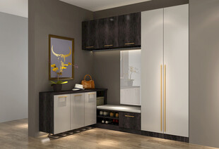 现代简约风格入户鞋柜设计