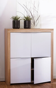 简约木质储物柜带绿植装饰