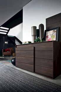 现代简约风格棕色储物柜