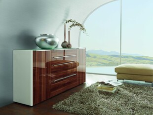 现代简约风格的室内储物柜