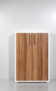 木质双门柜简约现代风
