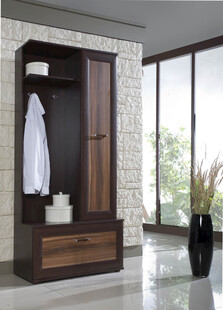 现代风格木质衣帽柜展示