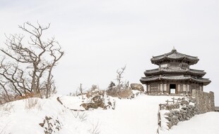 冬日雪景