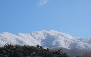 大山高山