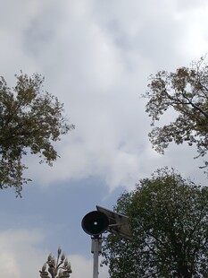 户外树木间的黑色装置