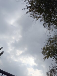 天空中的云朵与树木