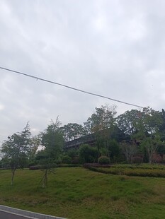 乡村公路旁的绿意景致