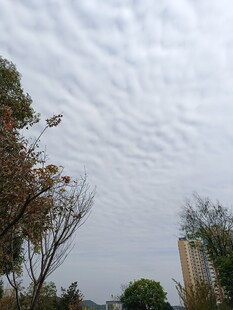 天空中独特的波状云层