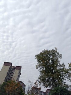 城市上空的云层与树木