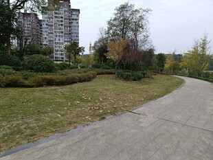 城郊宁静小路与绿植景观