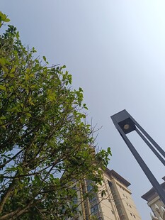 绿树掩映下的高耸建筑