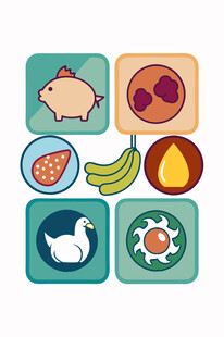 多样食物图标集合