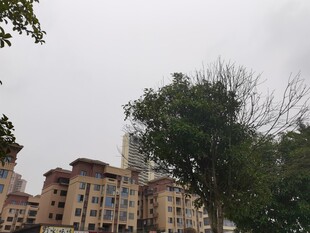 城市中的多层建筑与绿树