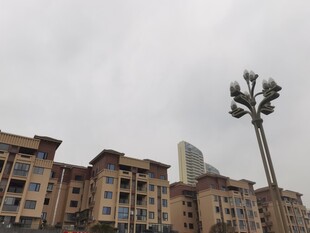 小区旁的高耸景观灯