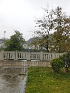 雨后公园景致