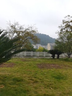 户外草地树木风景图