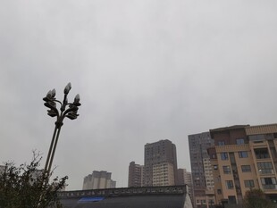 城市阴天景象中的路灯与建筑