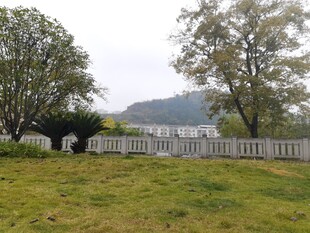 户外草地与围栏风景